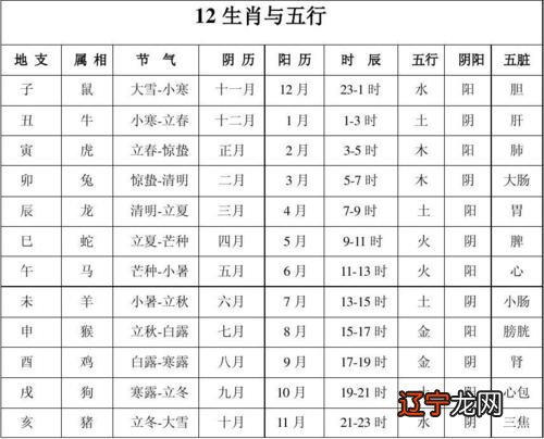 1970年属什么生肖五行_85年生肖牛五行属什么_2019年属猪的五行属什么生肖