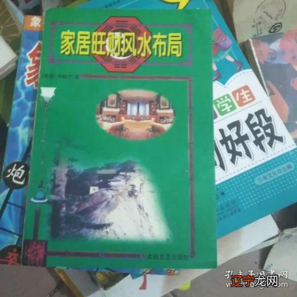 玄空派风水大师排名_峦头派风水经典著作_风水学广东派