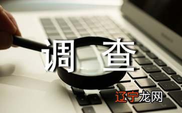 实用的调查报告小学作文汇编8篇