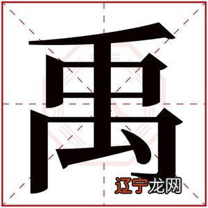 何姓取名字大全女孩_何姓属鸡男孩取名大全_何姓女孩取名内涵诗意名字