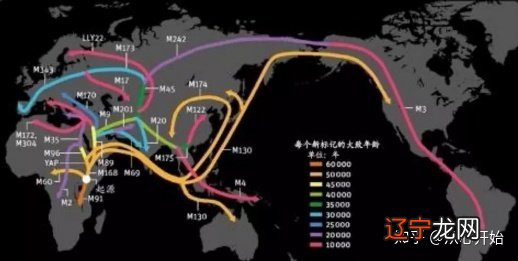 占卜未来_塔罗牌占卜未来_塔罗牌占卜未来婚姻