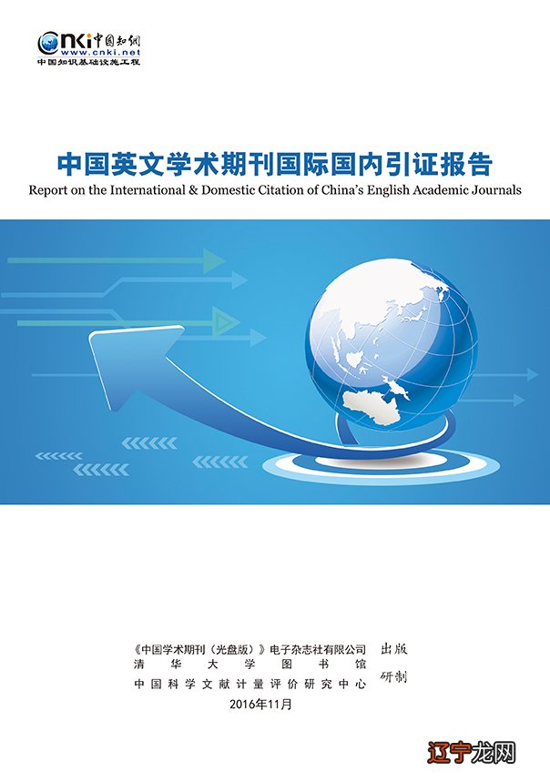 中国学术数据库调查_学术硕士论文数据造假_中国消费数据大调查