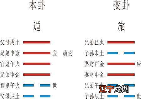 梅花易术动爻_周易太岁爻动_六爻中动爻与静爻详解