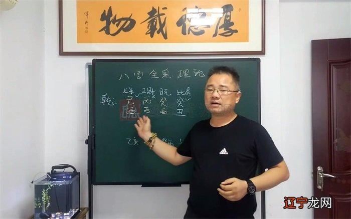 八字排盘命理八字测算_八字命理教学视频_杨清娟八字盲派命理免费讲座视频