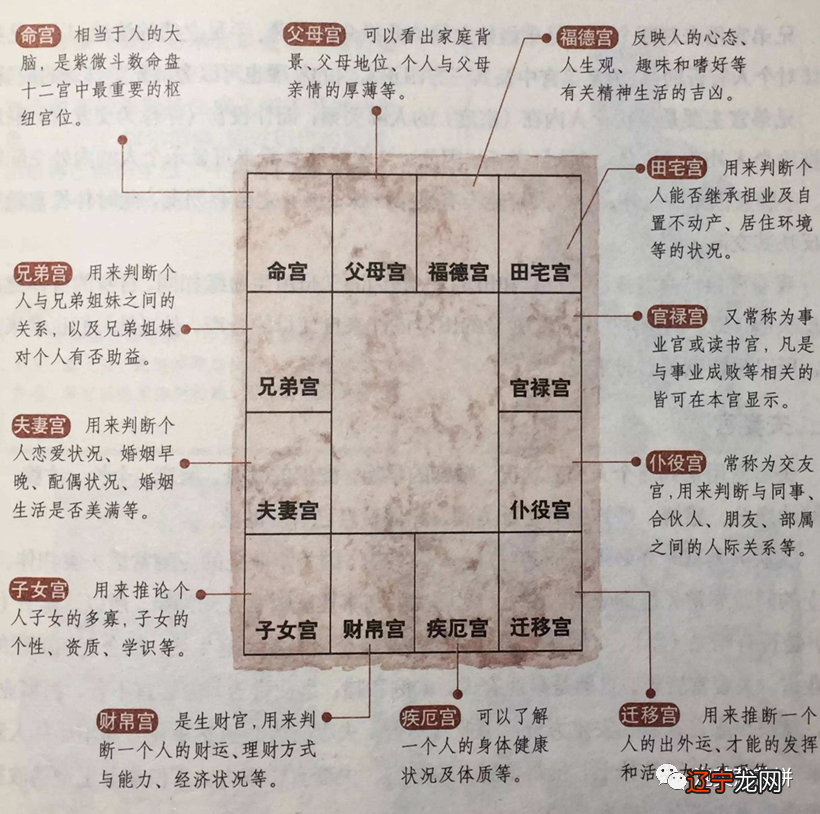 八字枭神夺食成立条件_八字四个枭神_八字中两个枭神