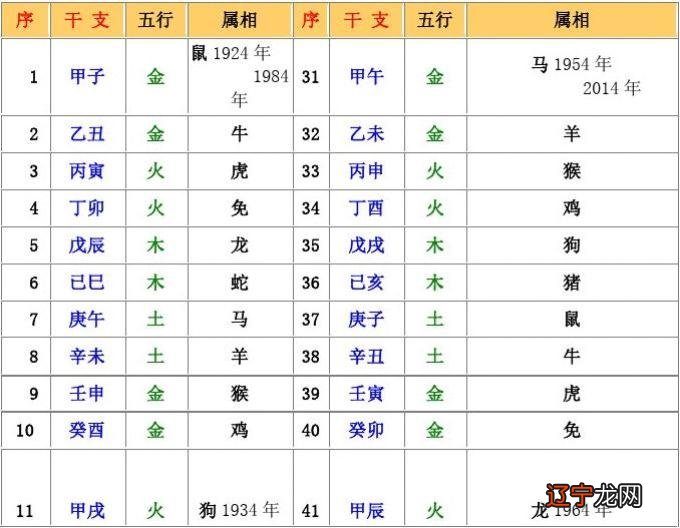 基础护理知识重点知识_八字命理知识_八字命理重点知识