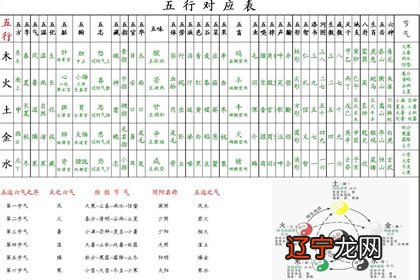 五行属金生肖属猪的吉字?_婖字五行属什么生肖_期字五行属什么生肖