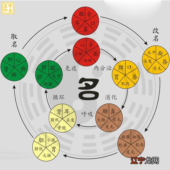 周易花钱取名怎么样_花钱取名靠谱吗_周易生辰八字取名网