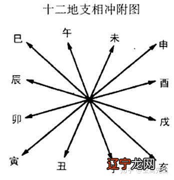 散属什么生肖_1563年属啥生肖属啥_1976年属什么生肖属