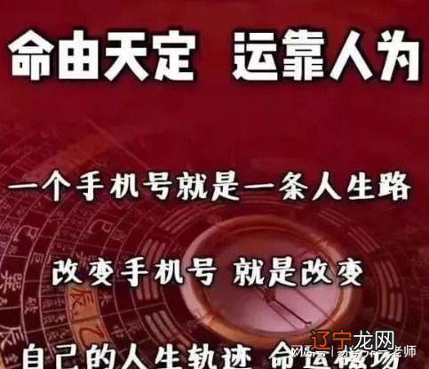 2019年属猪的五行属什么生肖_属相鸡五行属什么生肖_1999年属什么生肖属相属什么