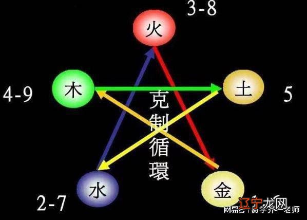 1999年属什么生肖属相属什么_属相鸡五行属什么生肖_2019年属猪的五行属什么生肖