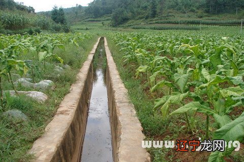 梦见女儿掉入水沟_梦见水沟捡别人的钱_梦见水沟