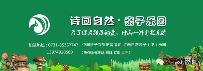 广场民俗军乐队表演_庙会上有哪些民俗表演_民俗文化表演英语