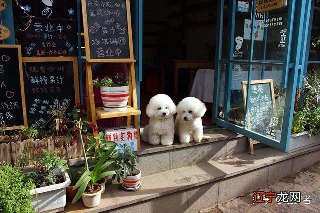 丽江旅游攻略:丽江秦时明月美宿,纳相缘茶马文化