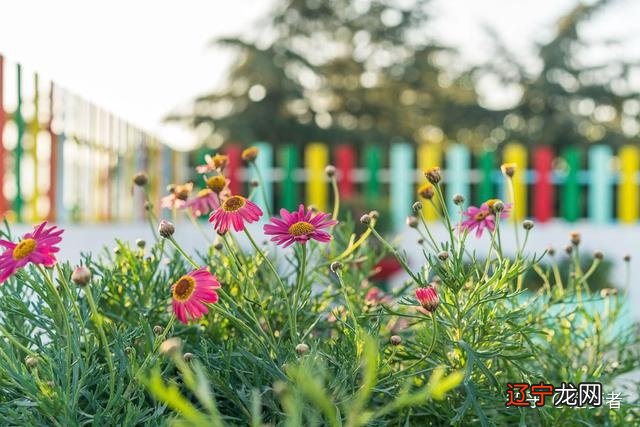 丽江旅游攻略:丽江秦时明月美宿,纳相缘茶马文化