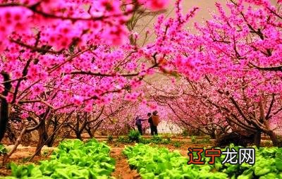 高人八字测:6月有可能感情有矛盾或身体不适