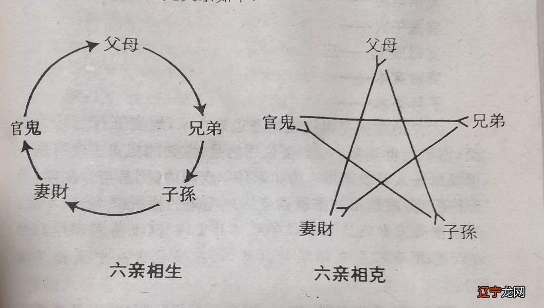 周易预测入门自学———六亲的配置