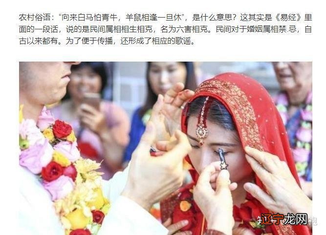 属相合婚歌诀_男女属相合婚表_属相合婚算命