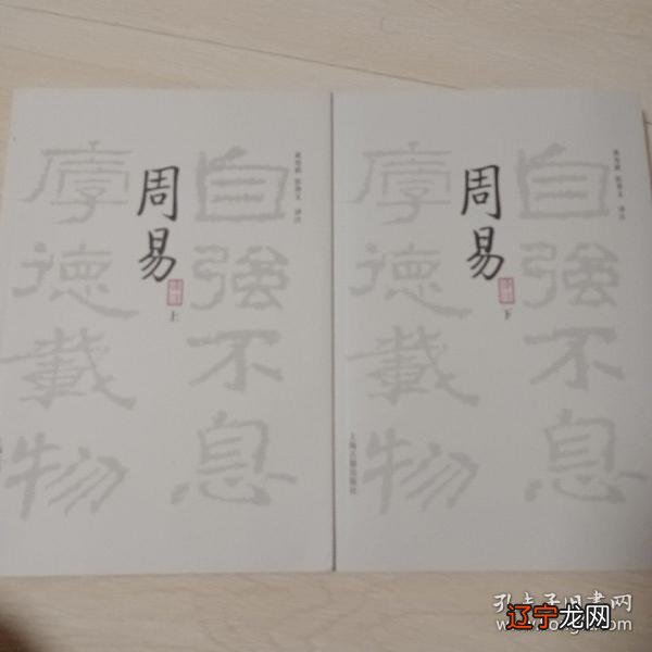 周易象数通论 pdf_刘伯温周易术数_沈伯春全译周易梅花数书