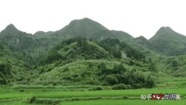 杨救贫所看过的风水地_杨救贫开门放水法_救贫风水学