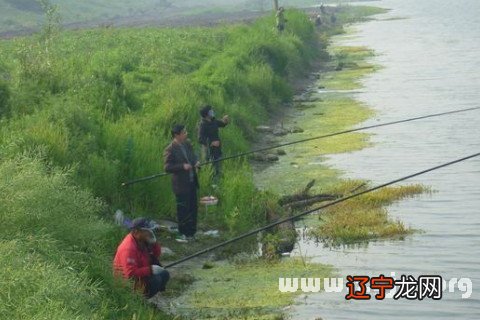 洱海公园离洱海近吗_洱海公园是洱海吗_梦见洱海