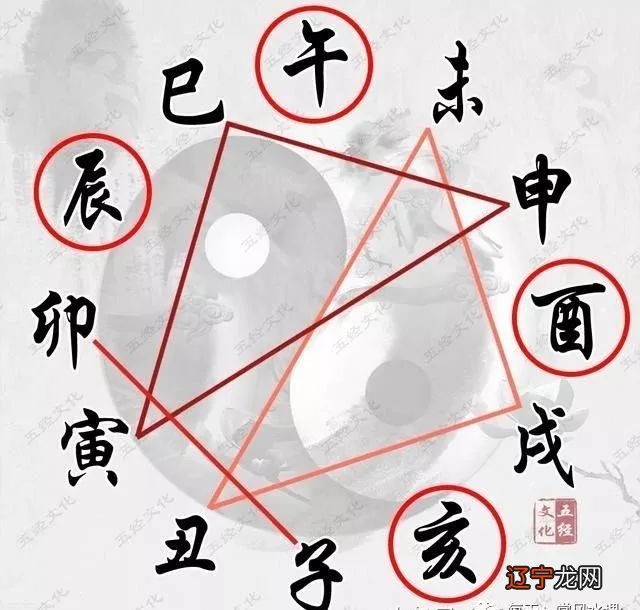 地支半合局_一般合婚合几个字最好_合婚地支三合局