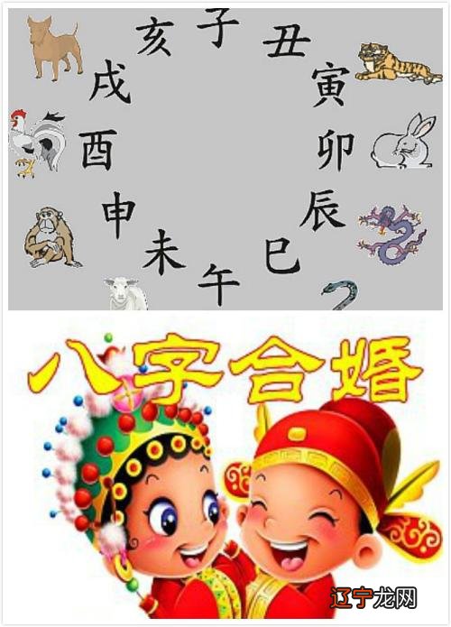 免费合婚姻八字打分