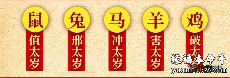 属鼠配带什么生肖好_1986年属什么生肖和什么配_属狗的带什么生肖好