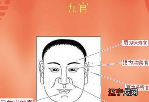 相学入门口诀_周易相学入门电子书_阳宅风水学入门口诀