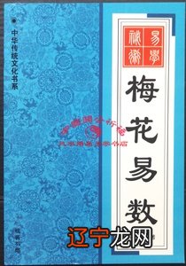 乾坤有道,阴阳八方_阴阳终始有道什么意思_法于阴阳和于术数有道无术