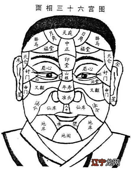 中国慈善机构为什么都不可信_中国的面相学可信吗_中国丽人网可信