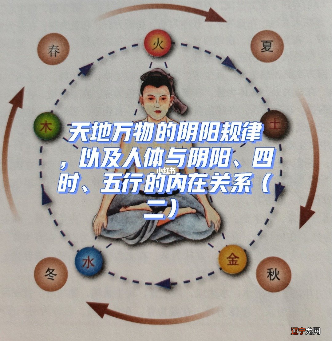 术数略内容_高数第七版下册内容_数学类专业有哪些内容