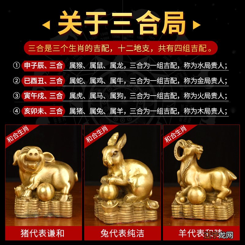 2018属猪贵人生肖_属龙的贵人是什么生肖_老鼠的贵人是属什么生肖