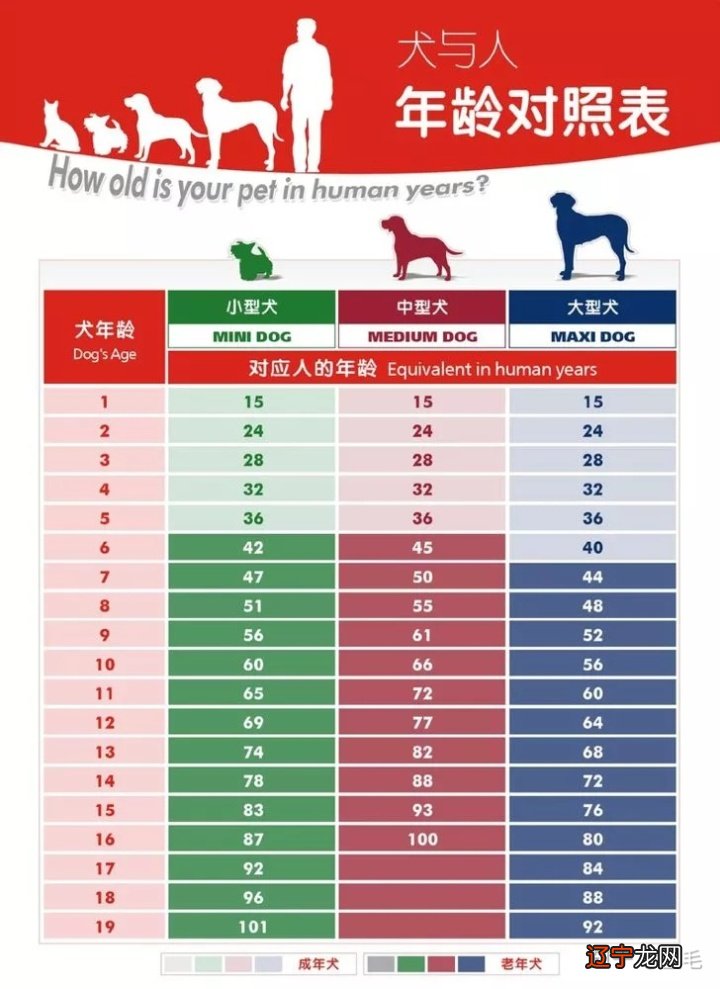 2018年虚岁25岁属什么生肖_25虚岁2018年属什么_2018年虚岁41属什么