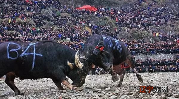 2017鸡年大吉HAPPYNEW2017年春节申遗