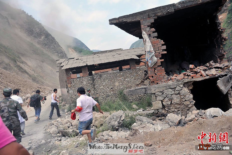 梦见地里有好多成熟的西瓜_梦见好多地_梦见好多鼠瘟疫地上跑