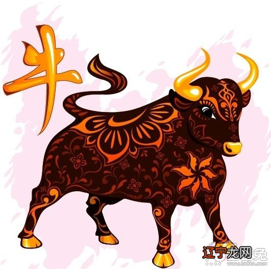 生小孩风水堂:生小孩善事,自然多子多福