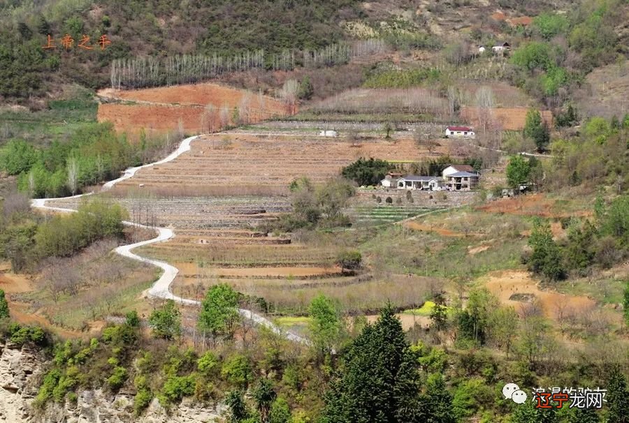 梦见挖水库_梦见挖芋头是什么意思_梦见挖坟墓挖到了东西