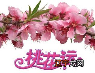 八字中带桃花美桃花劫_八字看正桃花_八字看桃花劫