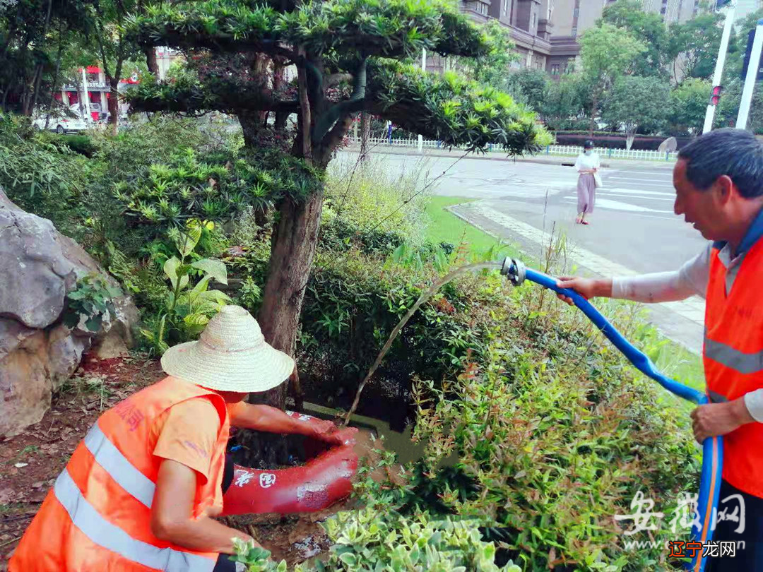 八字看阳宅_走马阴阳风水看阳宅_阳宅三要 看楼房准吗