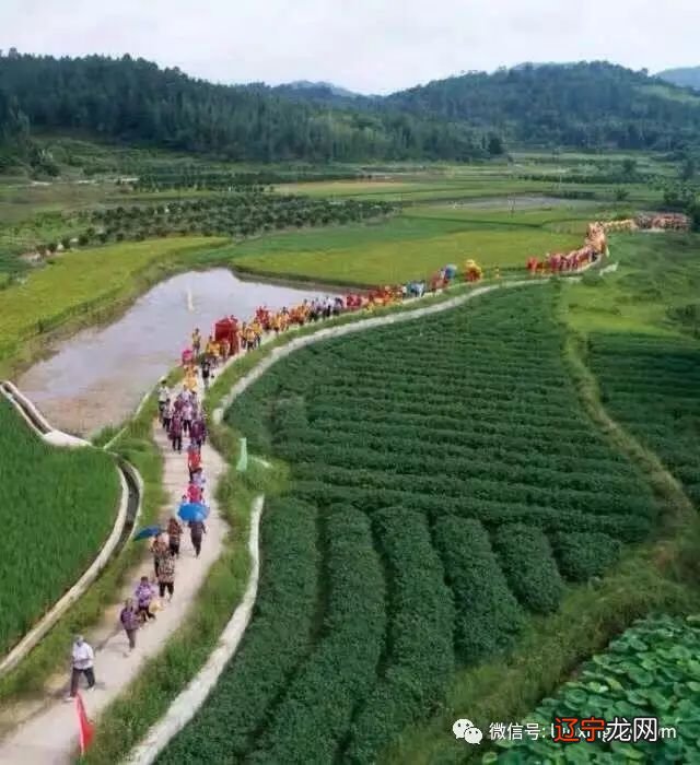 【?艺术节记事】、奉年、丽莲。