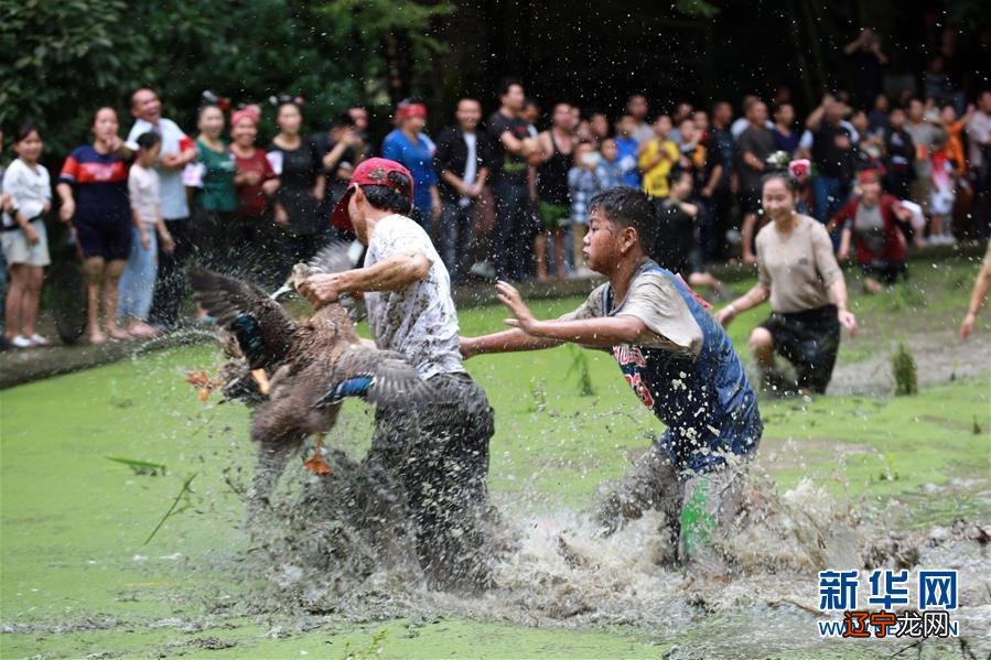 民俗活动图片_民俗活动图片_斗茶民俗活动