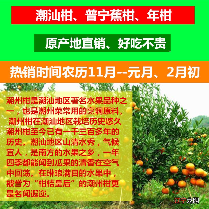 潮汕民俗文化节_潮汕特色民俗_春节潮汕民俗活动