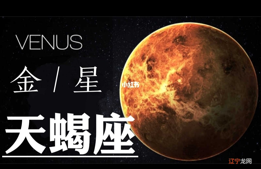 天蝎座是火象星座吗_星座土象火象水象_星座火象