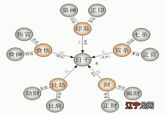 八字十神怎么看