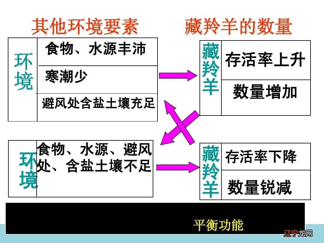 属马的生了个鼠宝宝怎么办_生肖鼠早上五点生属什么_属蛇的可以生鼠宝宝吗