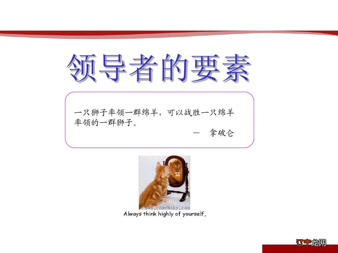 属蛇的可以生鼠宝宝吗_生肖鼠早上五点生属什么_属马的生了个鼠宝宝怎么办