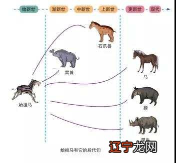 2014年生肖属图_2014年属什么生肖属_农历2014年12月28生肖属什么