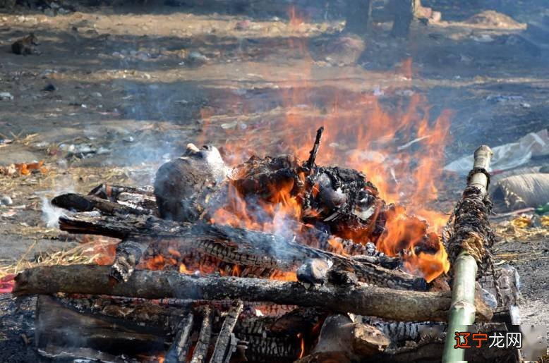 梦见跟死梦见跟死人说话好不好_梦见焚烧死人_梦见自己焚烧干尸