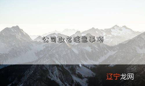 公司取名注意事项